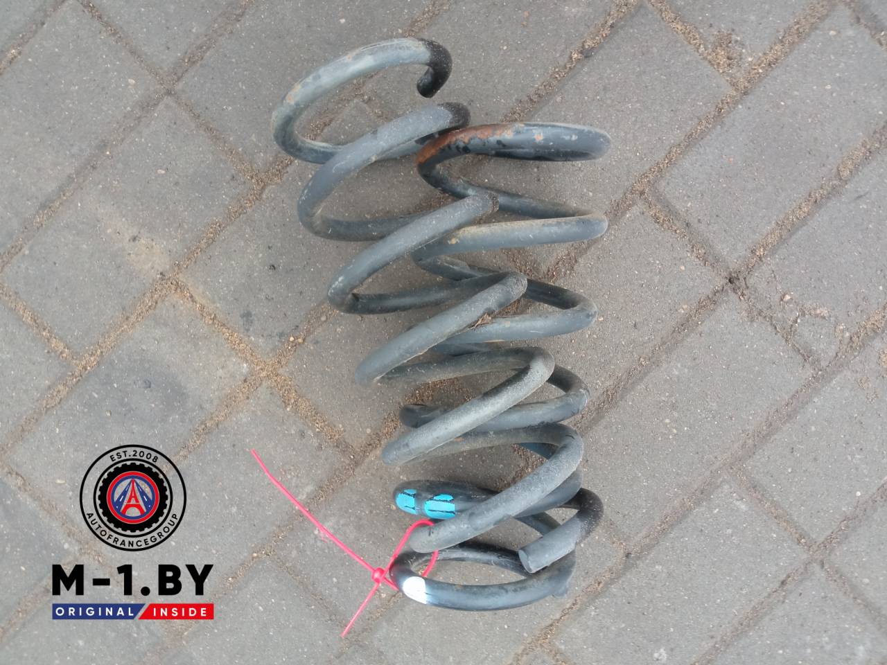 пружина задняя Chevrolet Captiva 1 поколение (2006 - 2011) - фото №1