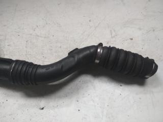 патрубок интеркулера Renault Clio 3 поколение 2006, 8200296596