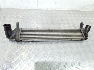интеркулер Renault Logan 1 поколение [рестайлинг] 2010, 8200409045