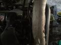 гофра инжектора Renault Megane 2 поколение [рестайлинг] 2010, 1.9 л., дизель, МКПП, 8200781521 - фото №2
