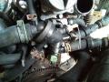 корпус термостата Renault 19 2 поколение 1997, 1.9 л., дизель, МКПП - фото №3