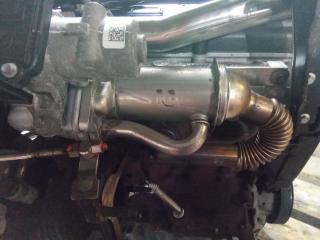охладитель EGR / Радиатор EGR Renault Modus 2 поколение 2010, 1.5 л., дизель, МКПП, 147352070R