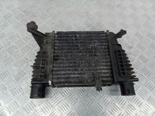 интеркулер Renault Modus 1 поколение 2007, 876893NF, 8200170504