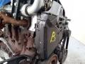 защита (кожух) ремня ГРМ Renault Kangoo 1 поколение [рестайлинг] 2004, 1.5 л., дизель, МКПП - фото №2