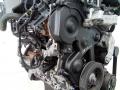 защита (кожух) ремня ГРМ Peugeot 5008 1 поколение 2010, 1.6 л., дизель, МКПП, 9659869280 - фото №2