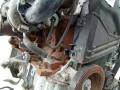 защита (кожух) ремня ГРМ Renault Clio 3 поколение [рестайлинг] 2012, 1.5 л., дизель, МКПП - фото №2