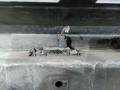 подсветка номера BMW 1 серия F20/F21 2013, 7193294 - фото №2