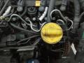 щуп двигателя Renault Megane 2 поколение [рестайлинг] 2011, 1.5 л., дизель, МКПП - фото №2