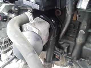 трубка охлаждающей жидкости Renault Megane 3 поколение 2011, 1.5 л., дизель, МКПП