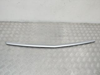 молдинг переднего бампера Mercedes-Benz A-Класс W169 2008, A1698850324