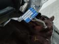 турбина Renault Modus 2 поколение 2008, 1.5 л., дизель, 54359710011 - фото №4