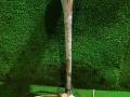 сигнал (клаксон) MAN TGA 1 поколение 2005, 10.5 л., D 2066 LF 01, дизель, АКПП, 81253016078 - фото №3