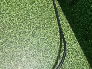 трубка гидравлическая IVECO Stralis 2 поколение 2009, дизель, МКПП, 41216883