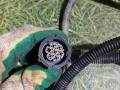 проводка фары MAN TGA 1 поколение 2007, 10.5 л., D 2066 LF 31, дизель, АКПП, 81254516383, 81254536648, 8125458380 - фото №4