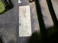 фара правая MAN TGA 1 поколение 2005, 10.5 л., D 2066 LF 11, дизель, АКПП, 81251016450, 449-1101R-LD-E, 87-33048-SX - фото №9