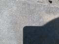 накладка торсиона MAN TGA 1 поколение 2008, 10.5 л., D 2066 LF 36, дизель, МКПП, 81416850044, 81416850053 - фото №8