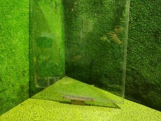 стекло двери передней правой DAF XF 105 1 поколение 2011, 12.9 л., MX 340, дизель, МКПП, 1284624