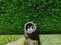 клапан электромагнитный AdBlue Volvo FM 2 поколение 2011, 10.8 л., D11C450, дизель, АКПП, 21314741 - фото №3