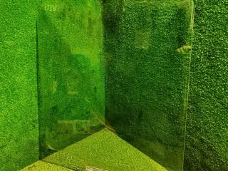 стекло двери передней правой DAF XF 105 1 поколение 2006, АКПП, 1284624