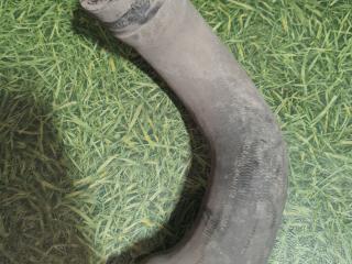 патрубок радиатора Scania 6-series 2017, 12.7 л., DC 13.148, дизель, АКПП, правый руль, 2438754