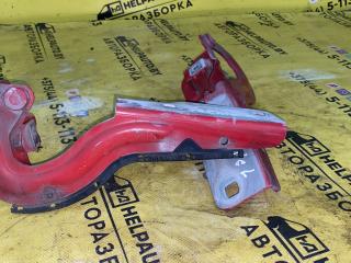 петля капота Renault Scenic 1 поколение 1998, 1.9 л., DTi, F9Q 650, дизель, АКПП, минивэн, передний привод