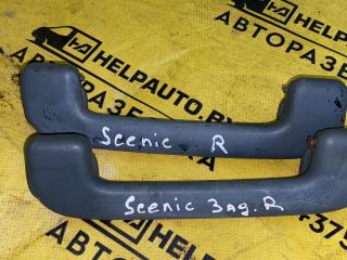 ручка внутренняя потолочная Renault Scenic 1 поколение 1998, 2.0 л., i, бензин, АКПП, минивэн, передний привод, F3R, J, 728, G, 791