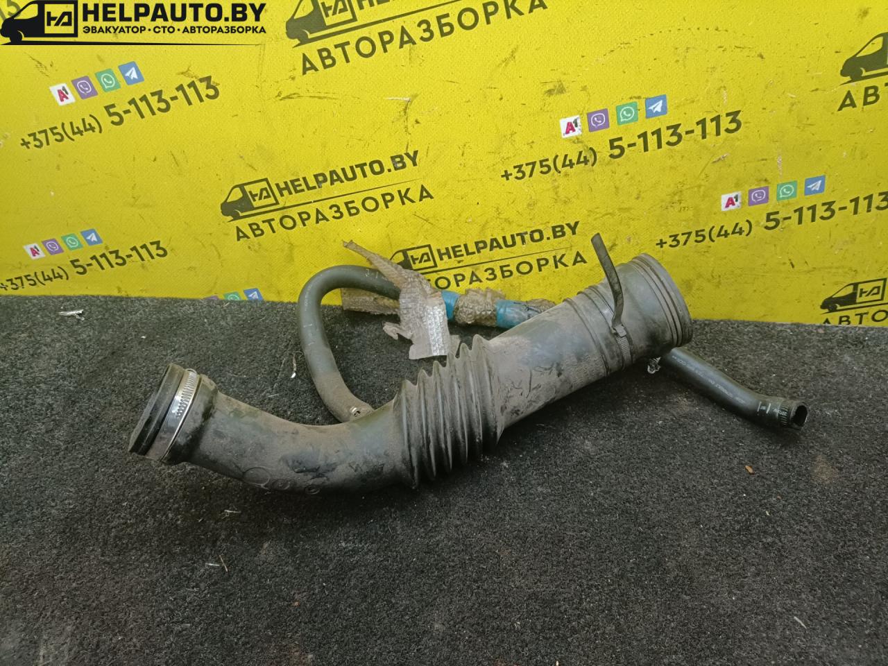 маслоотделитель (сапун) Renault Scenic 1 поколение 1998, 1.6 л., i, бензин, МКПП, минивэн, передний привод, K7M, 7700874590 - фото №1