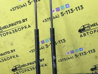 амортизатор крышки багажника (3-5 двери) Opel Astra F [рестайлинг] (1994 - 2002), 1.6 л., бензин, МКПП, универсал, передний привод