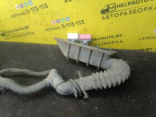 проводка двигателя Opel Vectra B 1998, 1.6 л., i, бензин, МКПП, универсал, передний привод, X16XEL