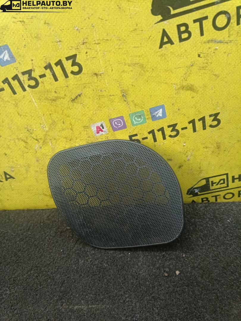Накладка (сетка) динамика Opel Astra G 2001, 1.6 л., бензин, МКПП, универсал, передний привод - фото №1