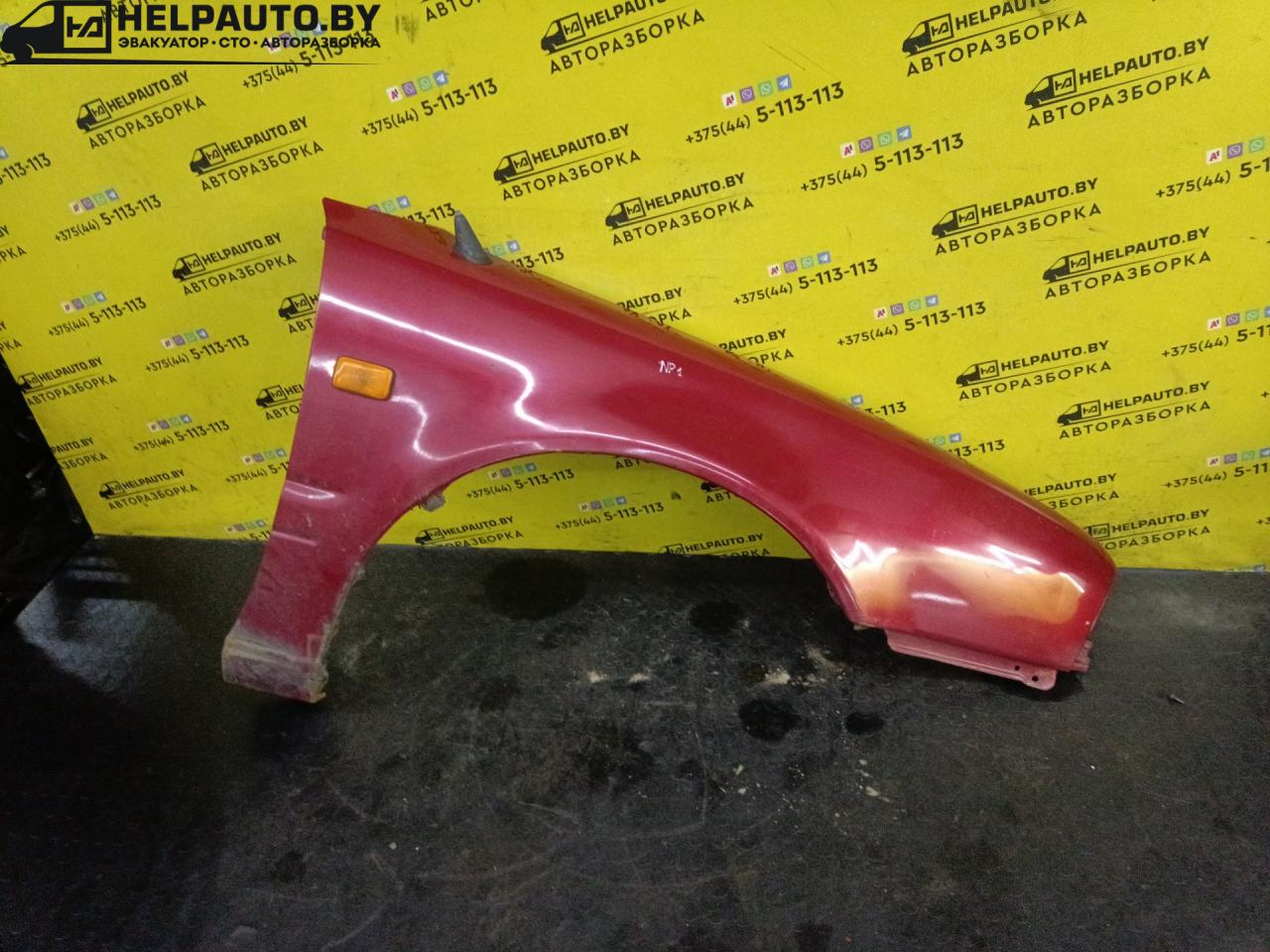 крыло переднее правое Nissan Primera P10 1996, 1.6 л., GA16DE, бензин, МКПП, бордовый, универсал - фото №1