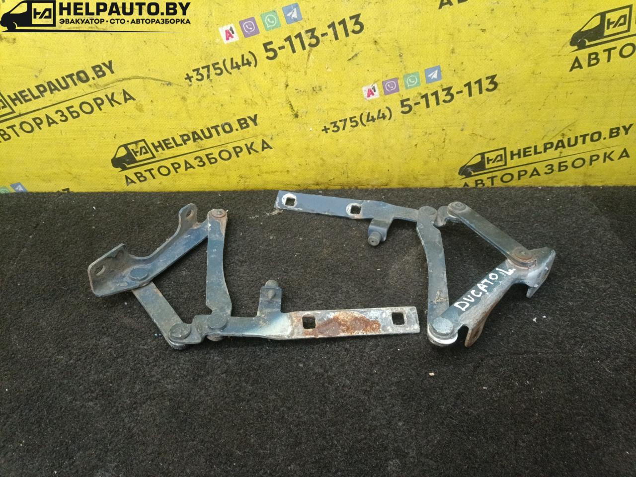 петля капота Peugeot Boxer 1 поколение 1999, 2.5 л., THY (DK5ATE), дизель, МКПП, белый, микроавтобус - фото №1