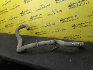 патрубок радиатора Citroen Berlingo 1 поколение (M49) 2001, 1.4 л., бензин, МКПП, синий, минивэн