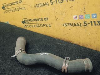 патрубок радиатора Citroen Saxo 1 поколение [рестайлинг] 2001, 1.1 л., бензин, МКПП, серебристый, хетчбэк 3 дв.