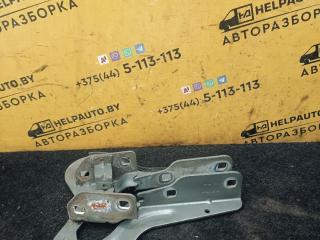 петля капота Renault Scenic 1 поколение 1998, 1.9 л., дизель, МКПП, серый, минивэн