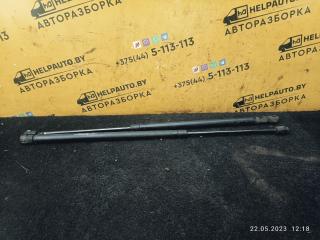 амортизатор крышки багажника (3-5 двери) Renault Scenic 1 поколение 1998, 1.9 л., дизель, МКПП, серый, минивэн