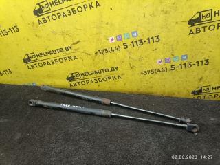 амортизатор капота Chery Tiggo (T11) 1 поколение 2008, 1.6 л., бензин, МКПП, черный, внедорожник 5 дв.