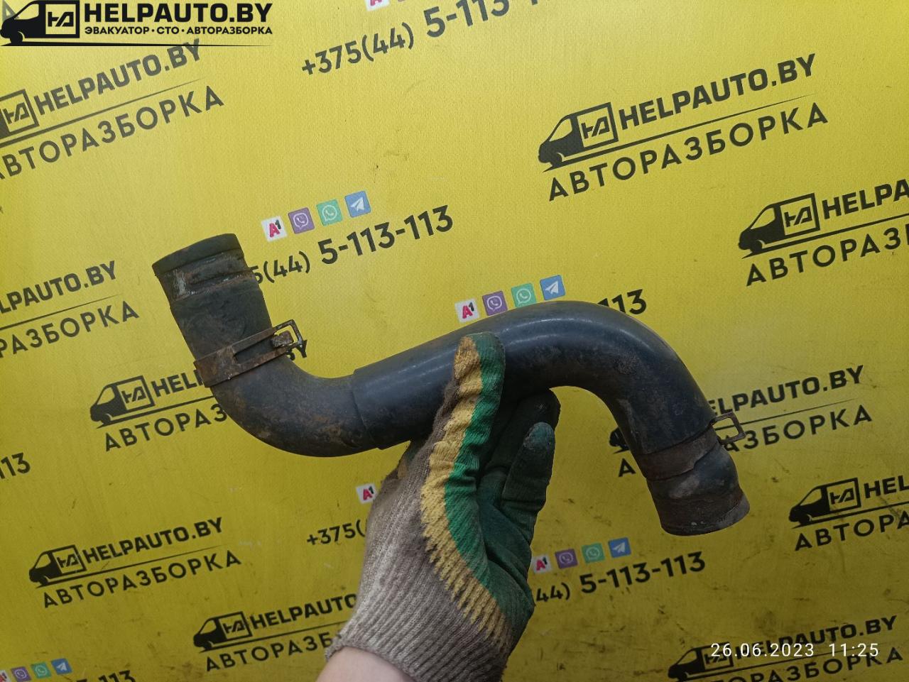 патрубок радиатора Nissan Maxima A33 (2000 - 2005), 3.0 л., бензин, АКПП, белый, седан, передний привод, USA - фото №1