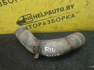 патрубок радиатора Kia Rio 1 поколение 2002, 1.5 л., A5D, бензин, 5МКПП, синий, универсал