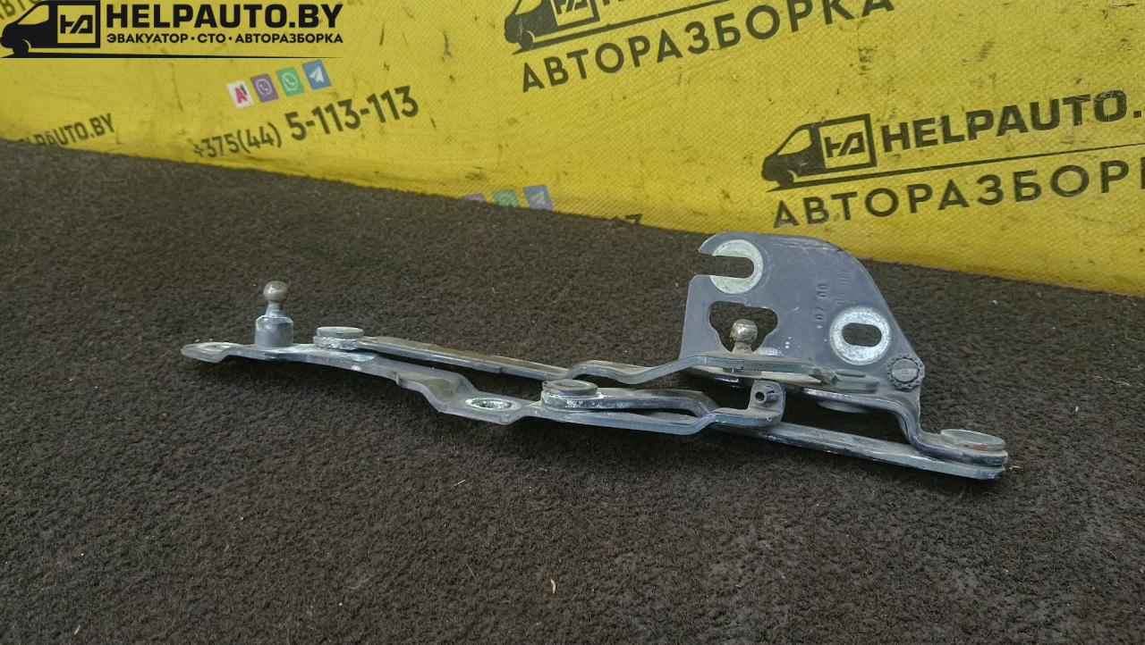 петля крышки багажника Volkswagen Bora 1 поколение 2000, 1.8 л., бензин, 5МКПП, синий - фото №1
