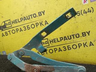 петля капота правая Fiat Ducato 2 поколение 1996, 2.5 л., дизель, зеленый, микроавтобус