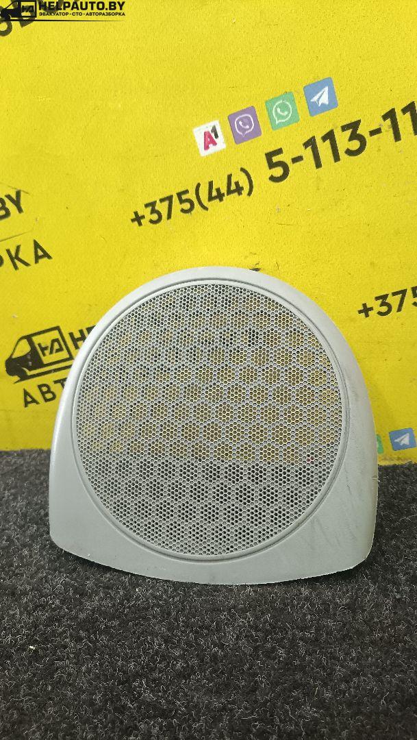 сетка на динамик Renault Scenic RX4 1 поколение 2003, 2.0 л., F4R 744, бензин, МКПП, синий, внедорожник 5 дв. - фото №1