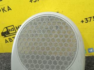 сетка на динамик Renault Scenic RX4 1 поколение 2003, 2.0 л., F4R 744, бензин, МКПП, синий, внедорожник 5 дв.