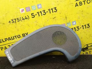 Накладка (сетка) динамика Renault Scenic 1 поколение 1998, 1.9 л., дизель, 5МКПП, голубой, минивэн, передний привод