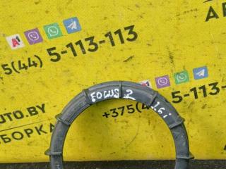 гайка топливного насоса Ford Focus 2 поколение 2006, 1.6 л., HWDA, бензин, МКПП, красный, хетчбэк 5 дв., передний привод