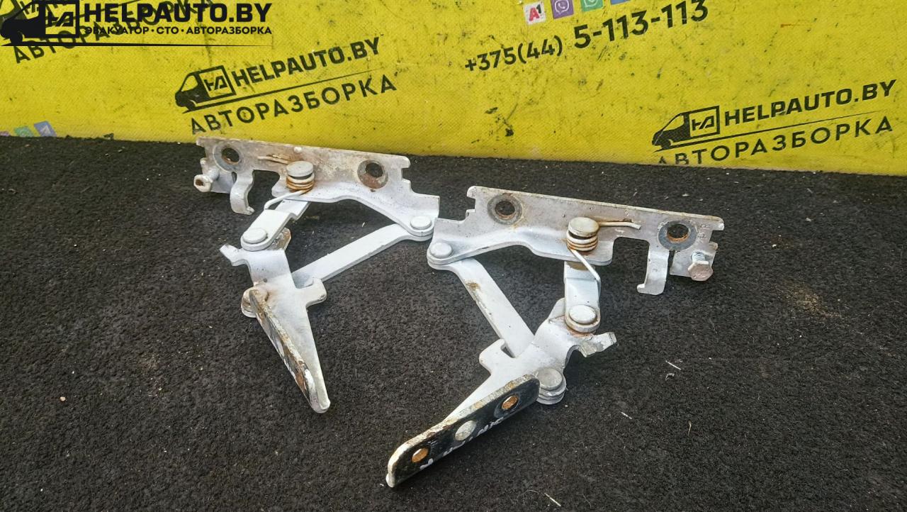 петля капота Opel Sintra 1 поколение 1999, 2.2 л., X 22 XE, бензин, МКПП, белый, минивэн, передний привод - фото №1