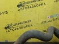 патрубок радиатора Renault Scenic 1 поколение 1998, 1.6 л., K7M 702, бензин, 5МКПП, серый, передний привод - фото №3