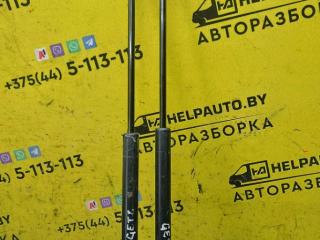 амортизатор крышки багажника (3-5 двери) Hyundai Getz 1 поколение [рестайлинг] 2008, 1.4 л., G4EE, бензин, МКПП, золотистый, хетчбэк 5 дв.