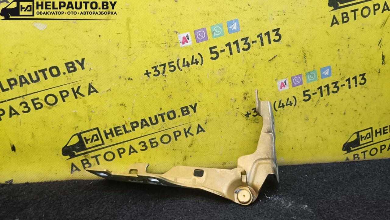 петля капота левая Renault Clio 2 поколение 1998, 1.2 л., бензин, золотистый, хетчбэк 3 дв., передний привод - фото №1