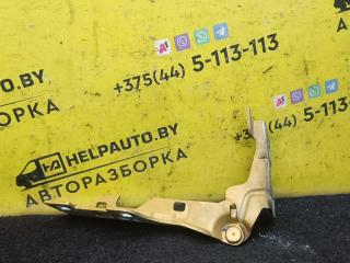 петля капота левая Renault Clio 2 поколение 1998, 1.2 л., бензин, золотистый, хетчбэк 3 дв., передний привод